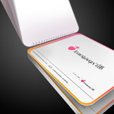 企業(yè)VI設計用戶手冊設計